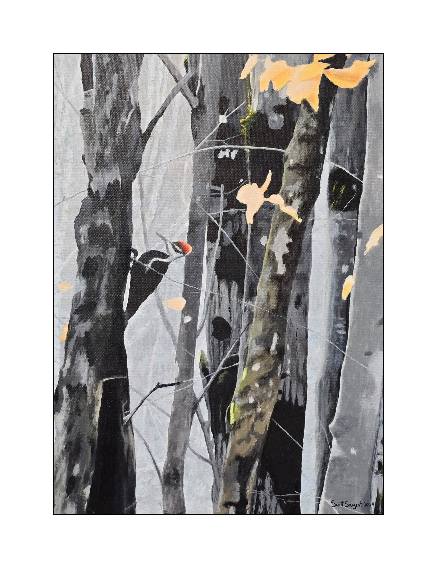 *New* Pileated Woodpecker by SS - Original Available