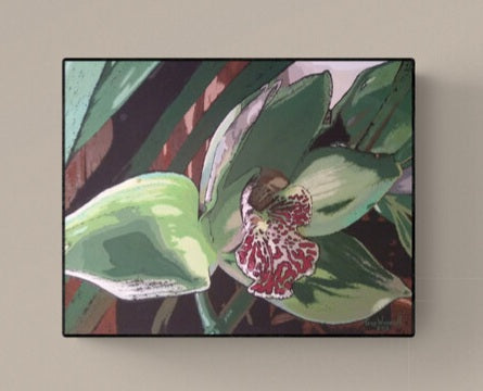*Fav* Green Orchid by TW - Prints Available