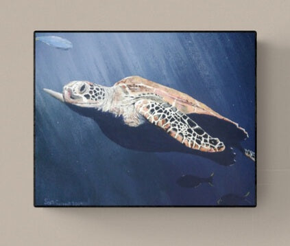Sea Turtle by SS - Prints Available