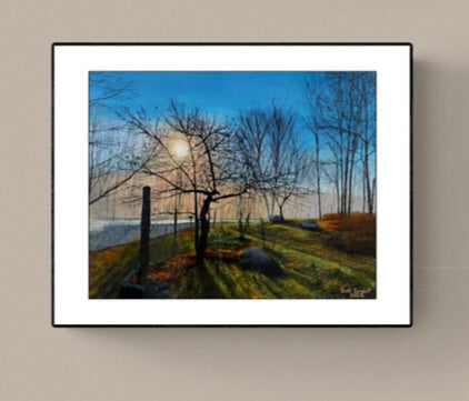 Apple Tree by SS - Prints Available