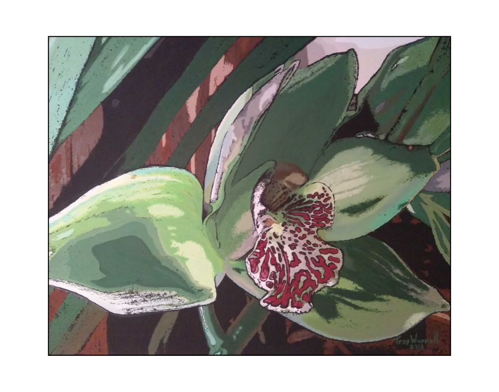 *Fav* Green Orchid by TW - Prints Available