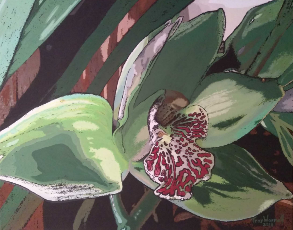 *Fav* Green Orchid by TW - Prints Available