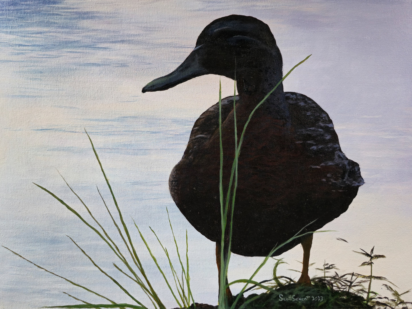 *New* Green-winged Teal by SS - Original Available