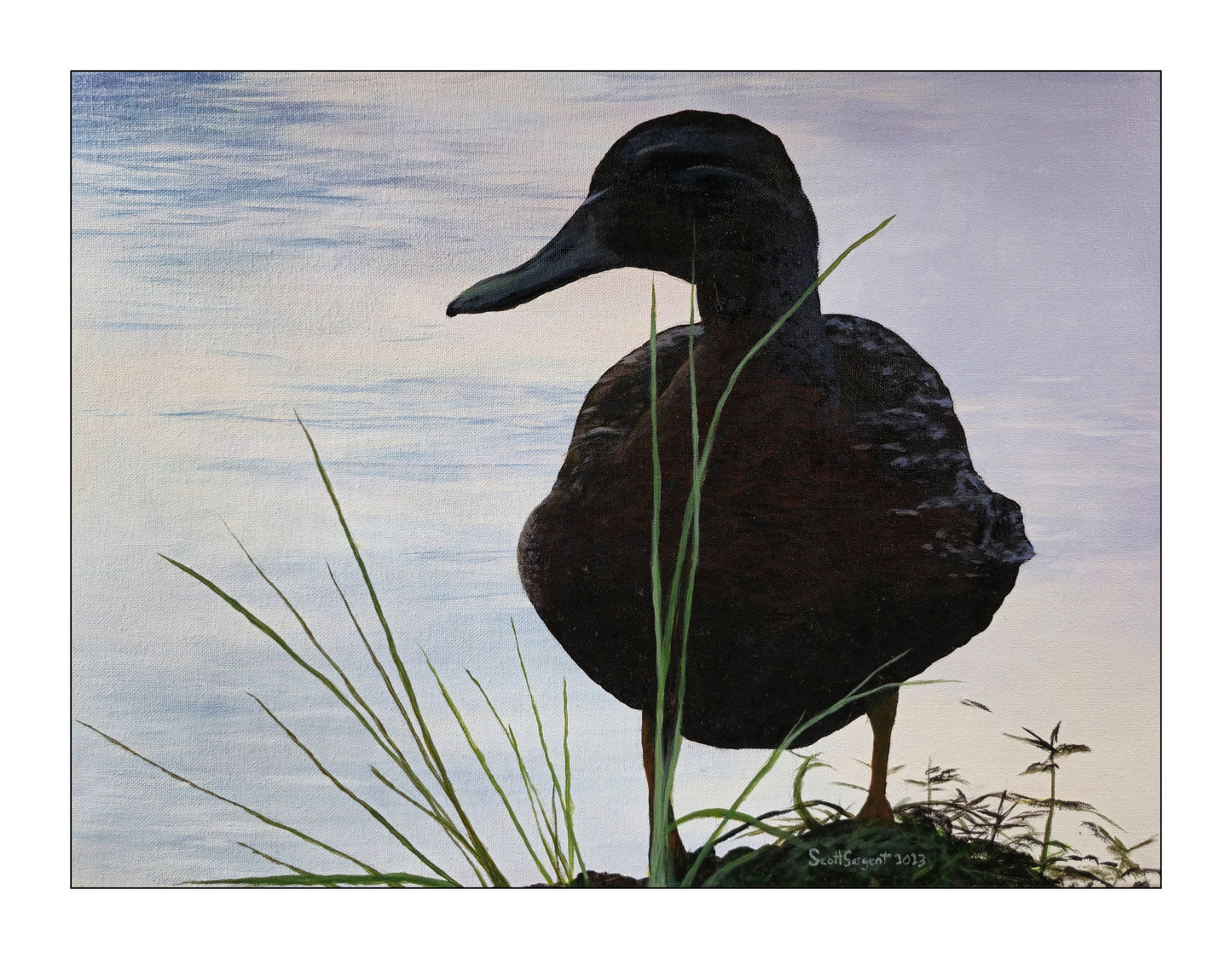 *New* Green-winged Teal by SS - Original Available