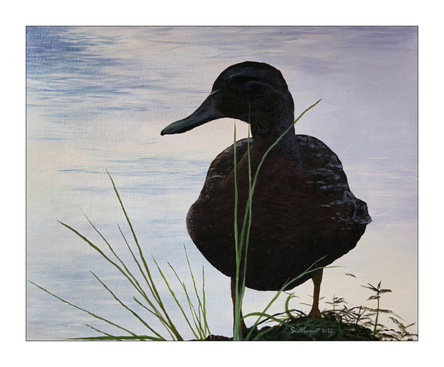 *New* Green-winged Teal by SS - Original Available