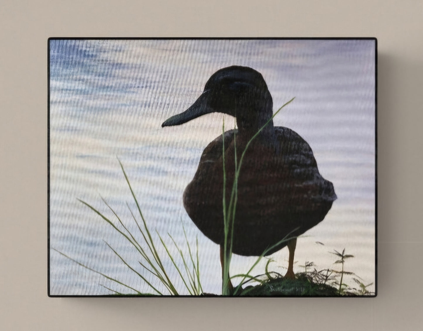 *New* Green-winged Teal by SS - Original Available