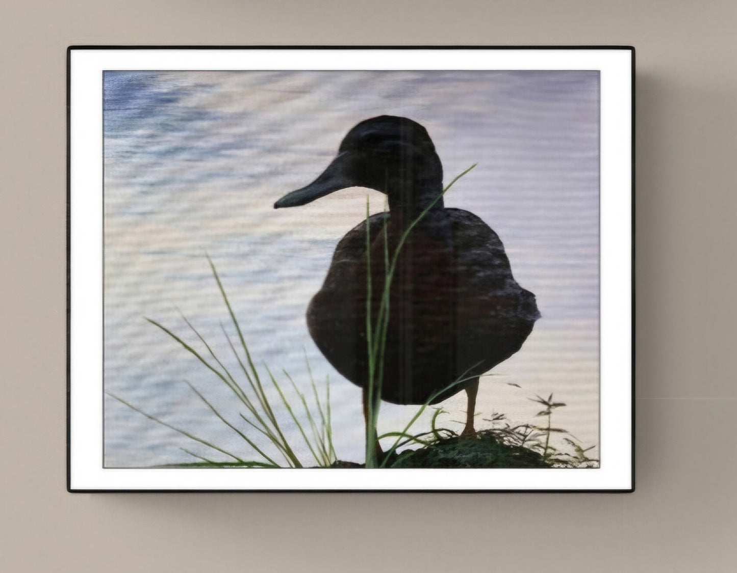 *New* Green-winged Teal by SS - Original Available