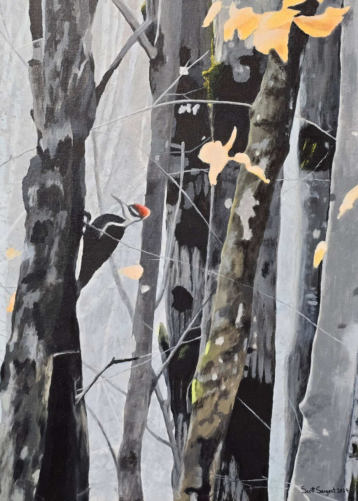 *New* Pileated Woodpecker by SS - Original Available