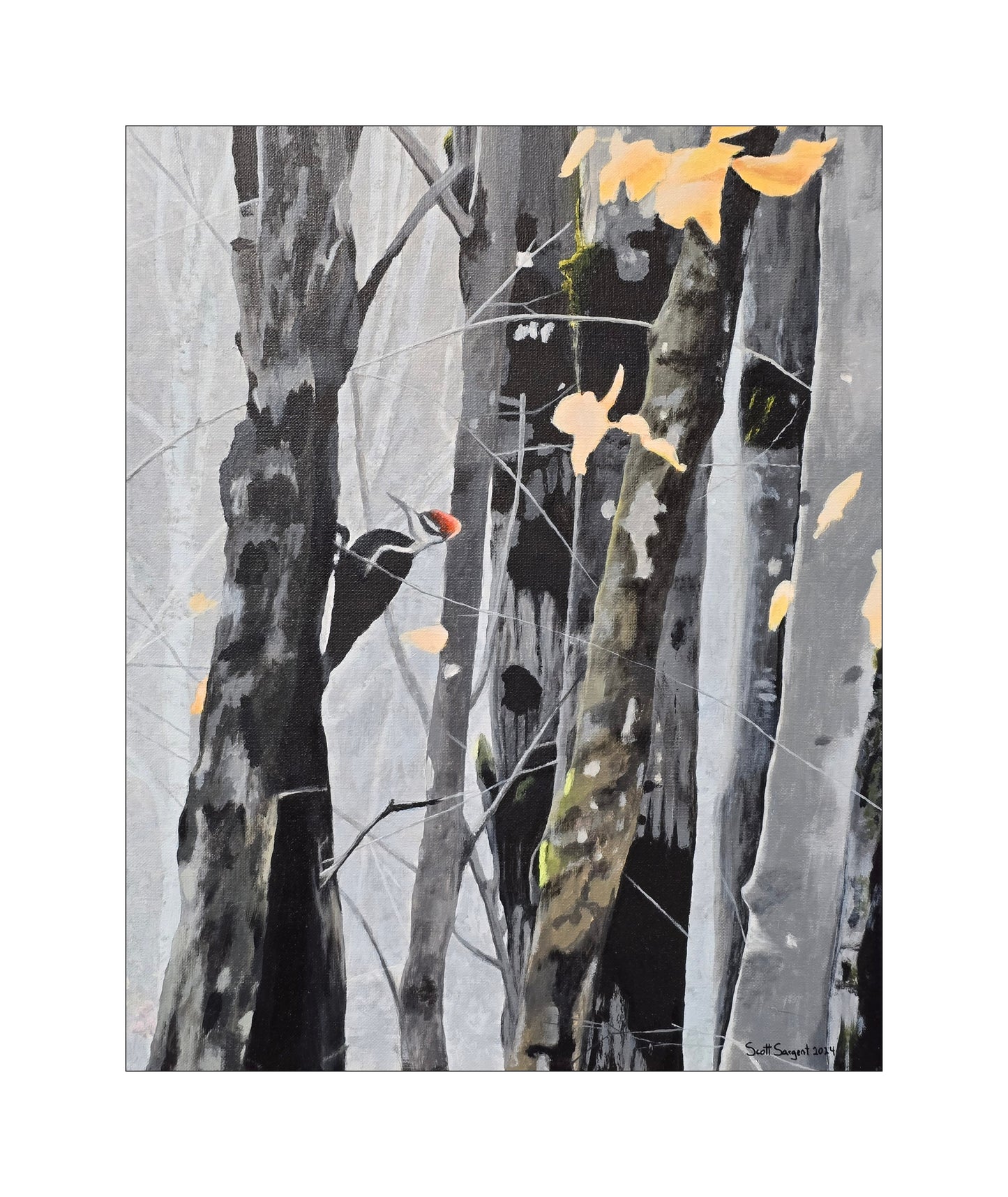 *New* Pileated Woodpecker by SS - Original Available