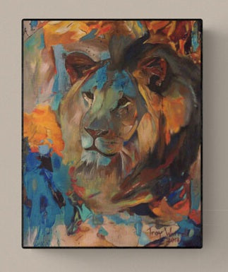 Miami Zoo Lion by TW - Prints Available