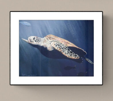 Sea Turtle by SS -  Prints Available