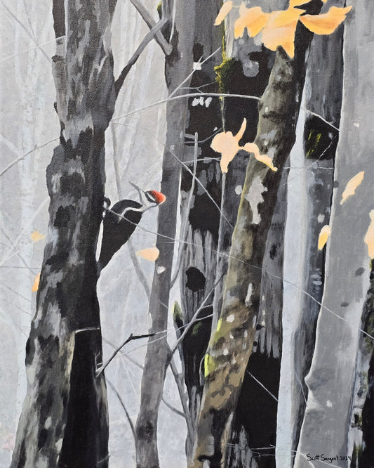 *New* Pileated Woodpecker by SS - Original Available