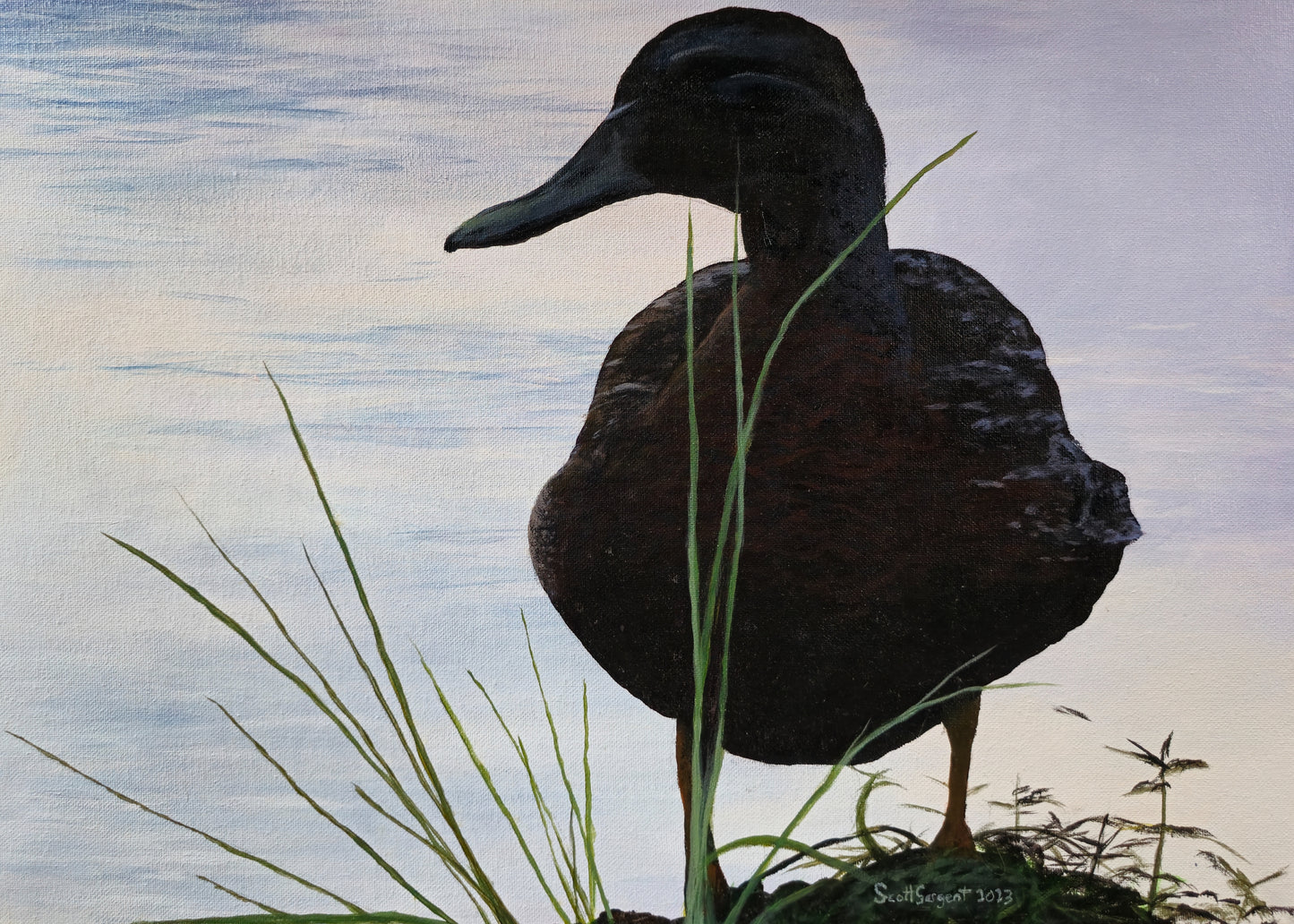 *New* Green-winged Teal by SS - Original Available