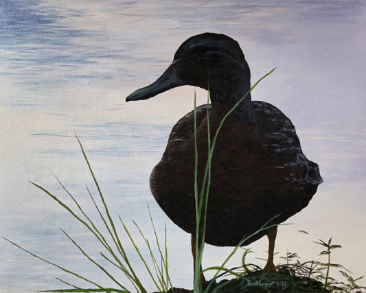 *New* Green-winged Teal by SS - Original Available
