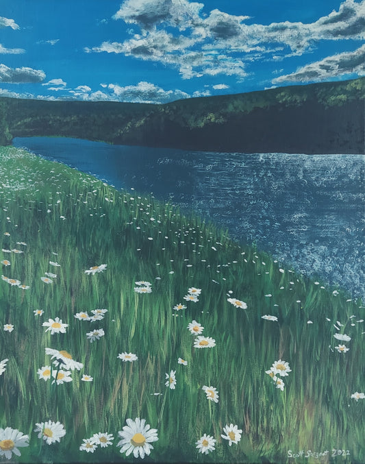 *New* River Daisies by SS - Original Available