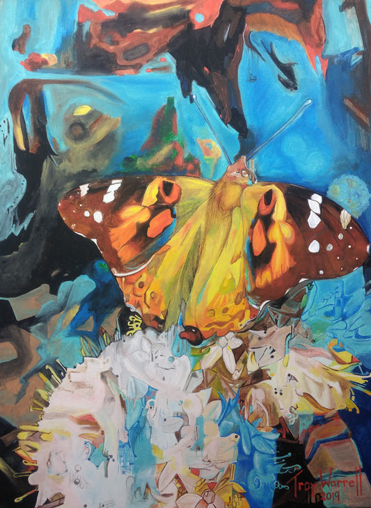 *Fav* Painted Lady by TW - Prints Available