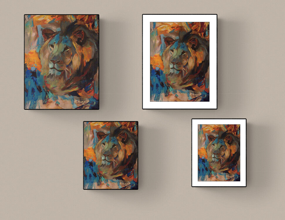 Miami Zoo Lion by TW - Prints Available