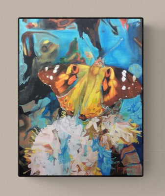 *Fav* Painted Lady by TW - Prints Available