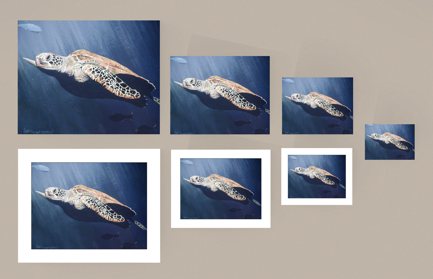 Sea Turtle by SS -  Prints Available