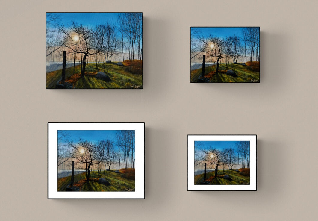Apple Tree by SS - Prints Available