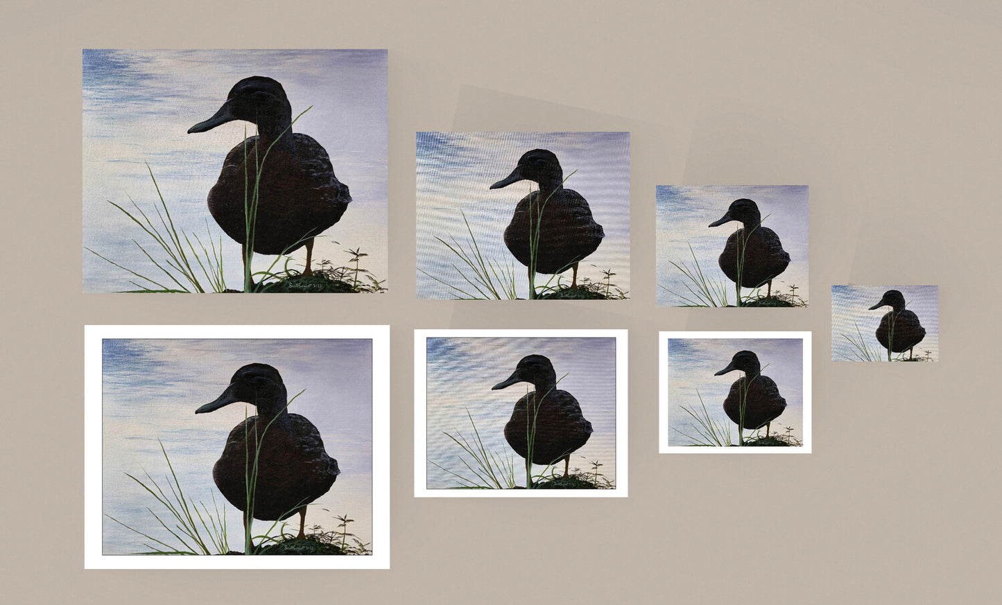 *New* Green-winged Teal by SS - Original Available
