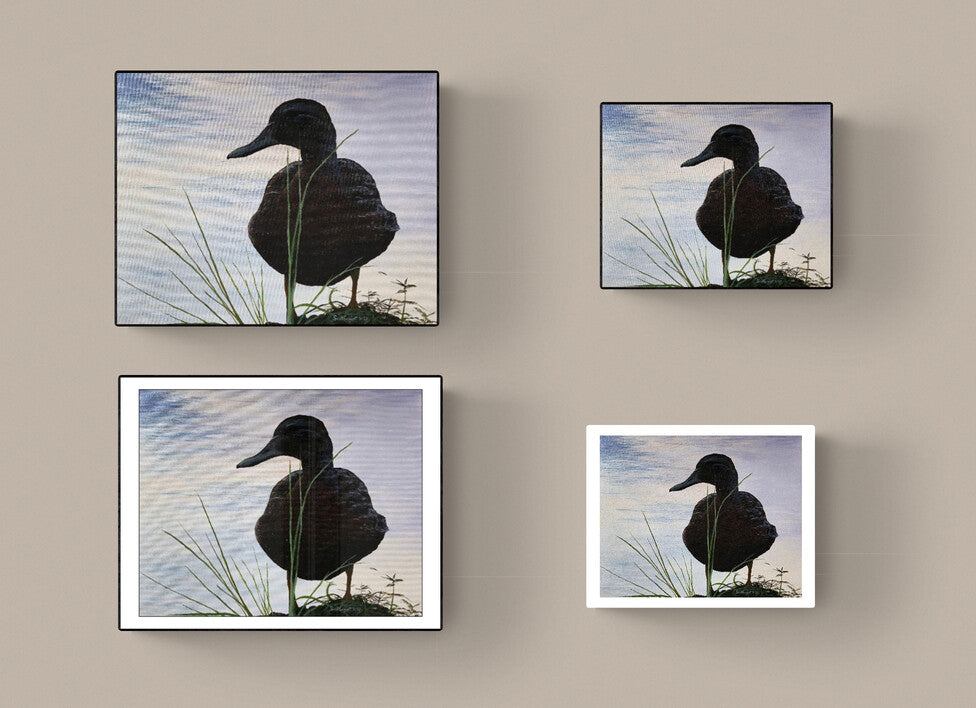 *New* Green-winged Teal by SS - Original Available