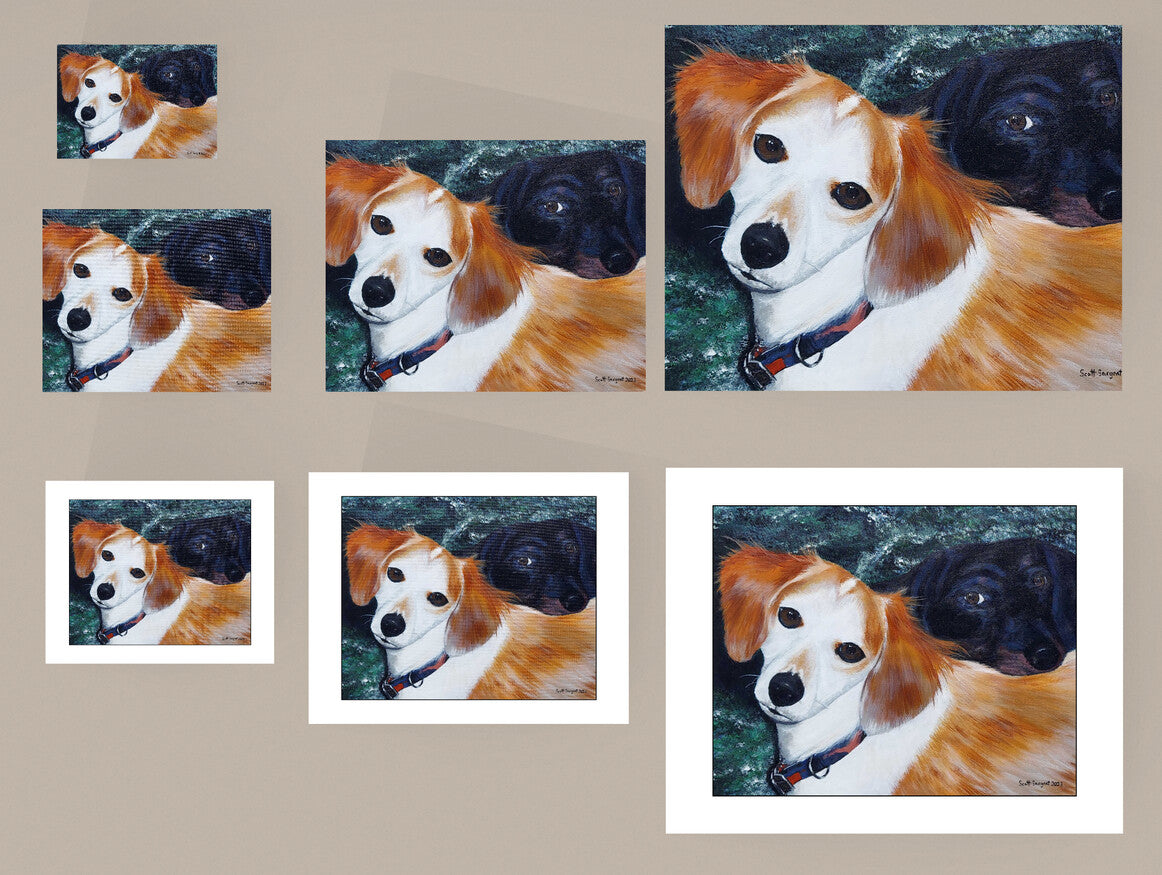 Chipley & Serenity by SS - Prints Available